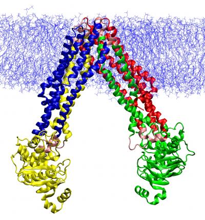 A Transporter Does the Twist