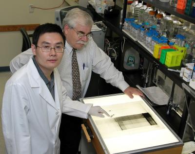 Hui Li and Jeffrey Sklar