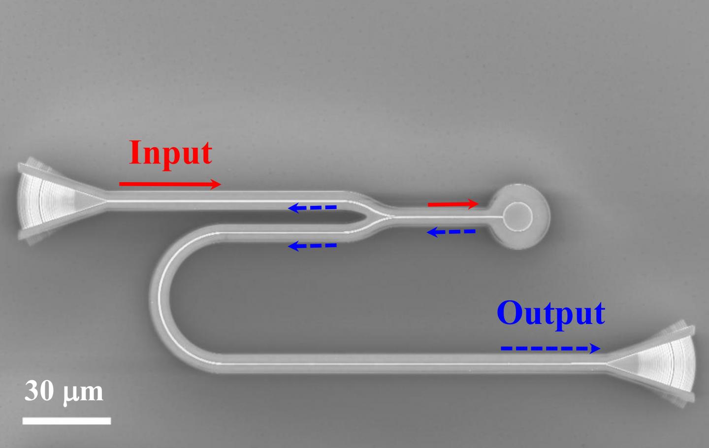 Microdisk with Y-Splitter
