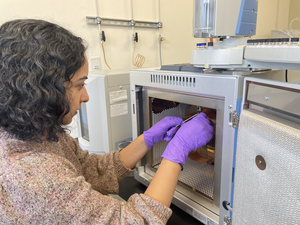 Researcher works with gas chromatograph