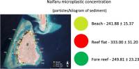 Maldives Microplastic Concentration Map