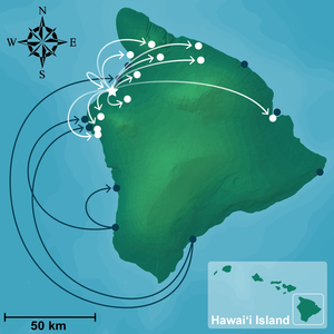 Connectivity of fisheries off Hawai‘i Island