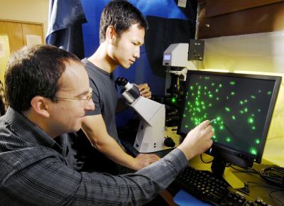 Kostas Konstantinidis and Chengwei Luo, Georgia Institute of Technology