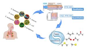 Sniffing Out Bacteria: Novel Approach for Rapid Bacterial Species Identification