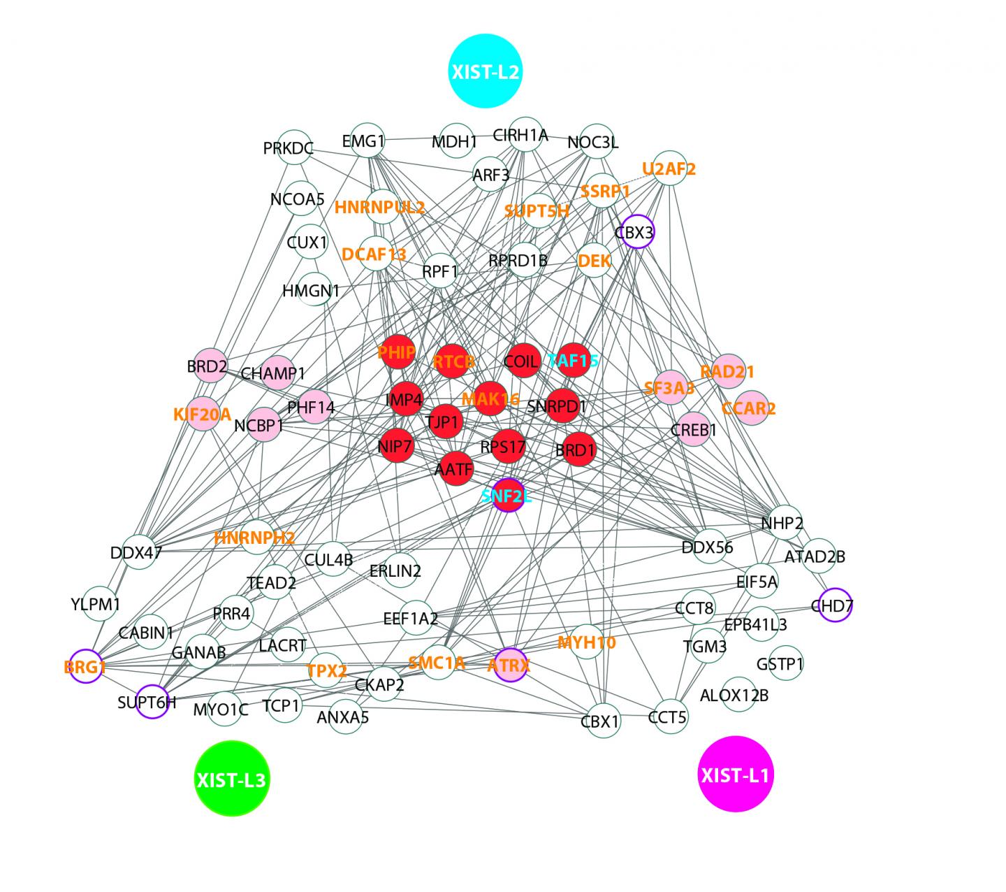 Two Previously Uncharacterized Binding Proteins Revealed