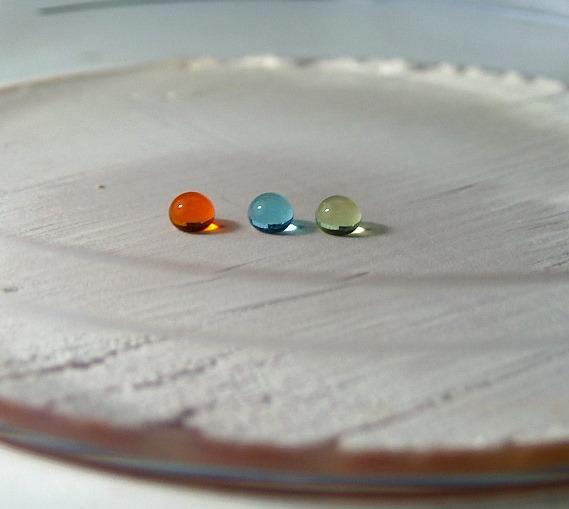 Colored Water Drops on Plate with <em>Streptomyces</em> Bacteria
