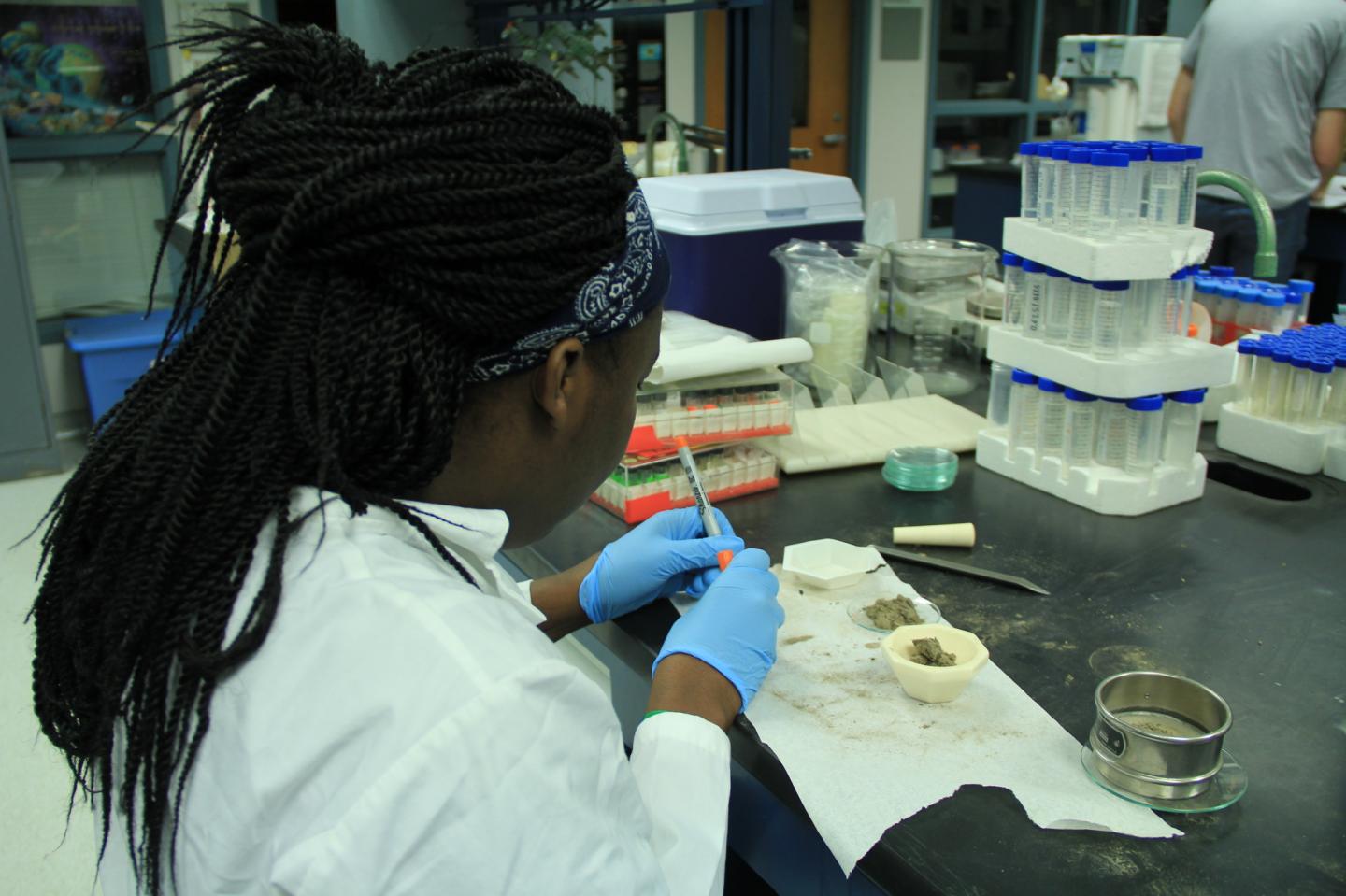 Isheka Orr Works in the Filippelli lab at IUPUI