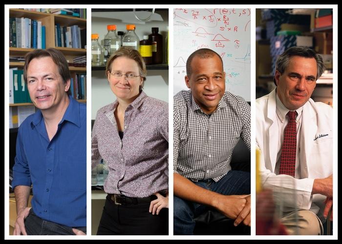 Four HHMI Scientists Elected to National Academy of Medicine