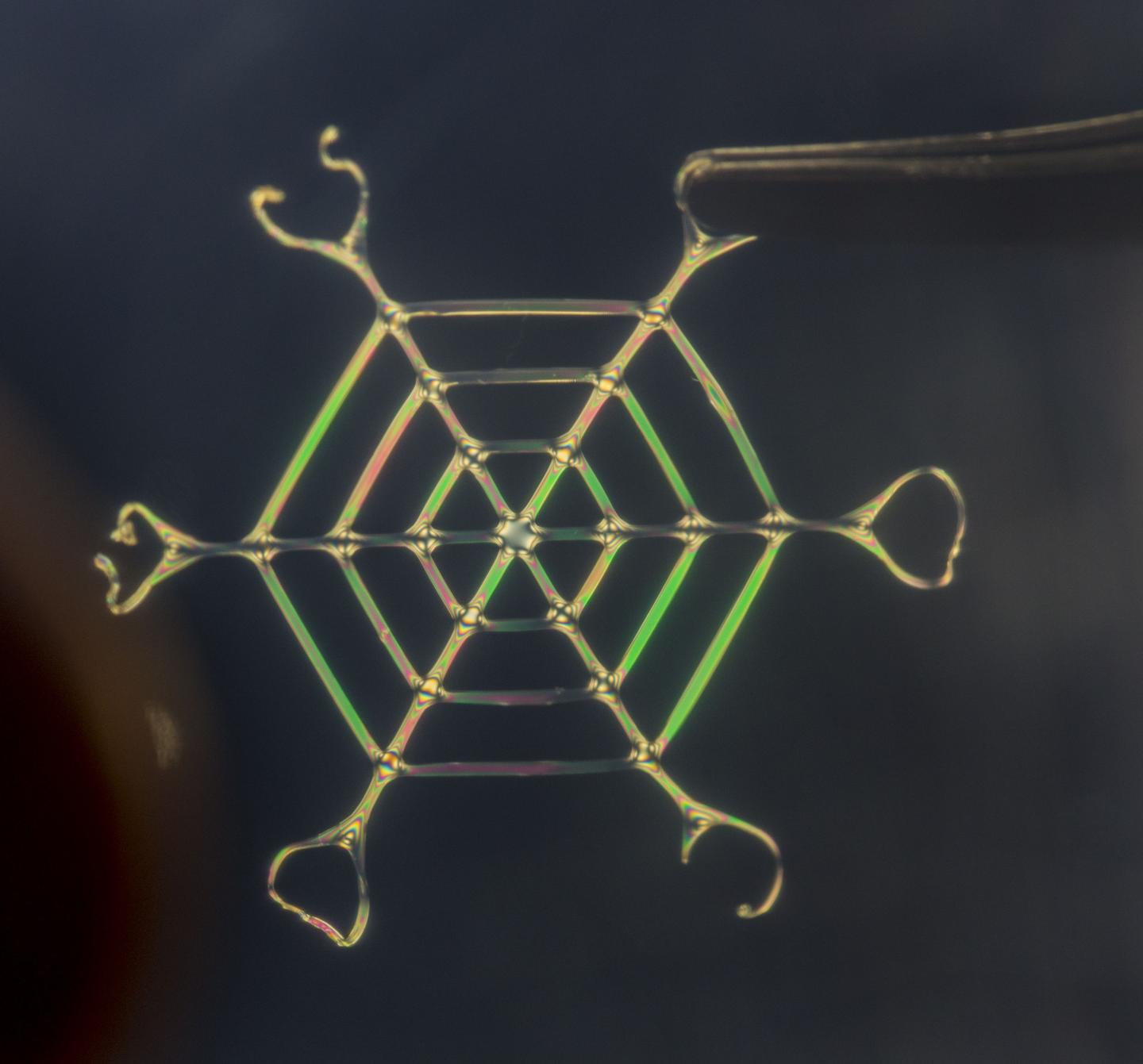 Web of Silk Nano Fibers