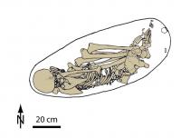Kostenki Skeleton Drawing