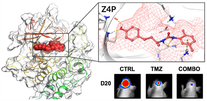 The molecule in the cancer tumour