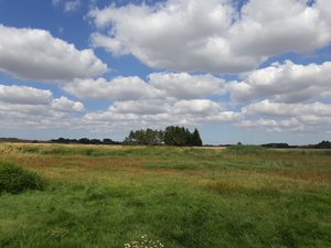 A restored stretch of River Odense near Nørre Broby