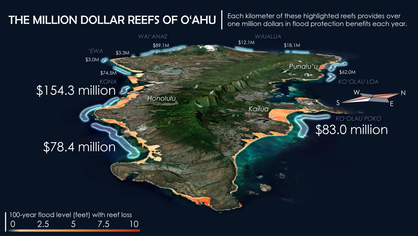 Million Dollar Reefs