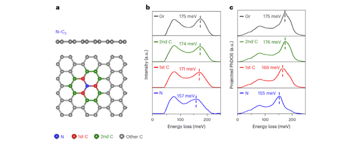 Atom-by-atom vibrational spectroscopy analysis of the N-C3 defect in graphene