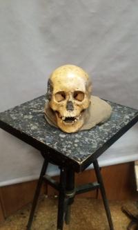 Devil's Gate Skull