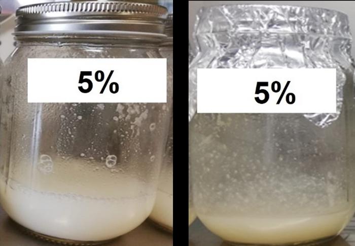 How heat treatment affects a milk alternative made from rice and coconut water