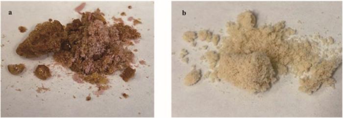 Revolutionizing Waste Management: Citrus Waste to Biopolymers via Cavitation