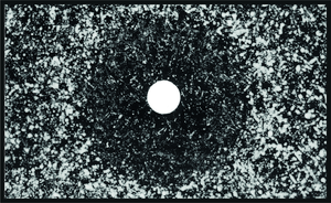 Anti-fungal tolerance assay