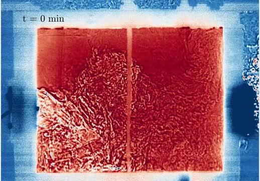 A Laboratory Experiment of a Cross-Ventilated Room (Side View)