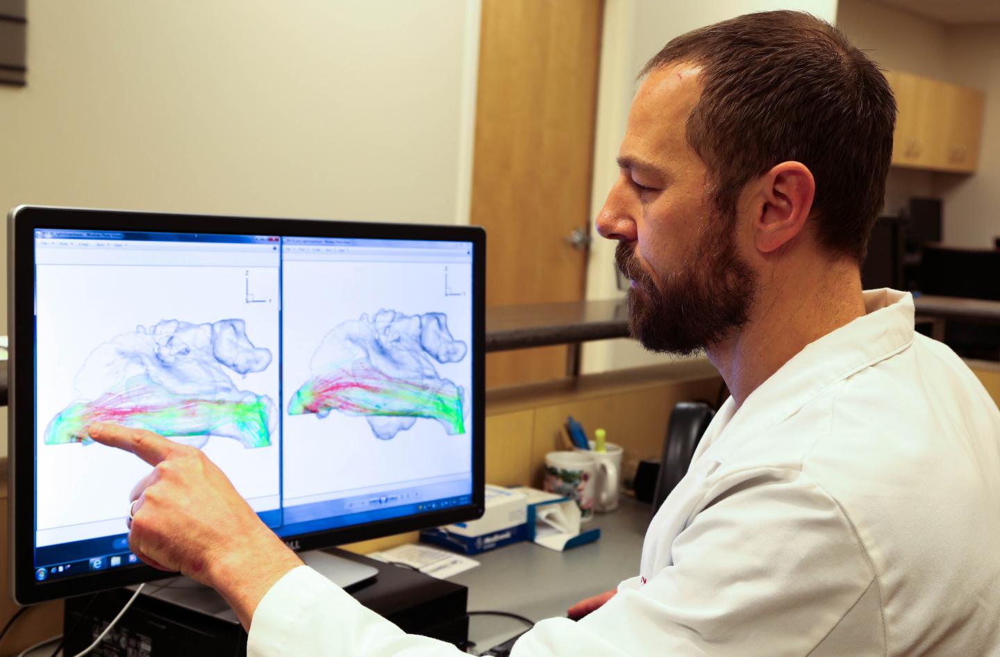 Dr. Brad Otto Reviewing Scans