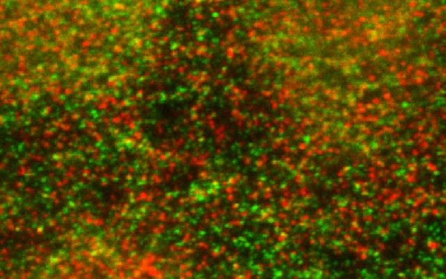 GPCR and E3 ligase, UC San Diego Health