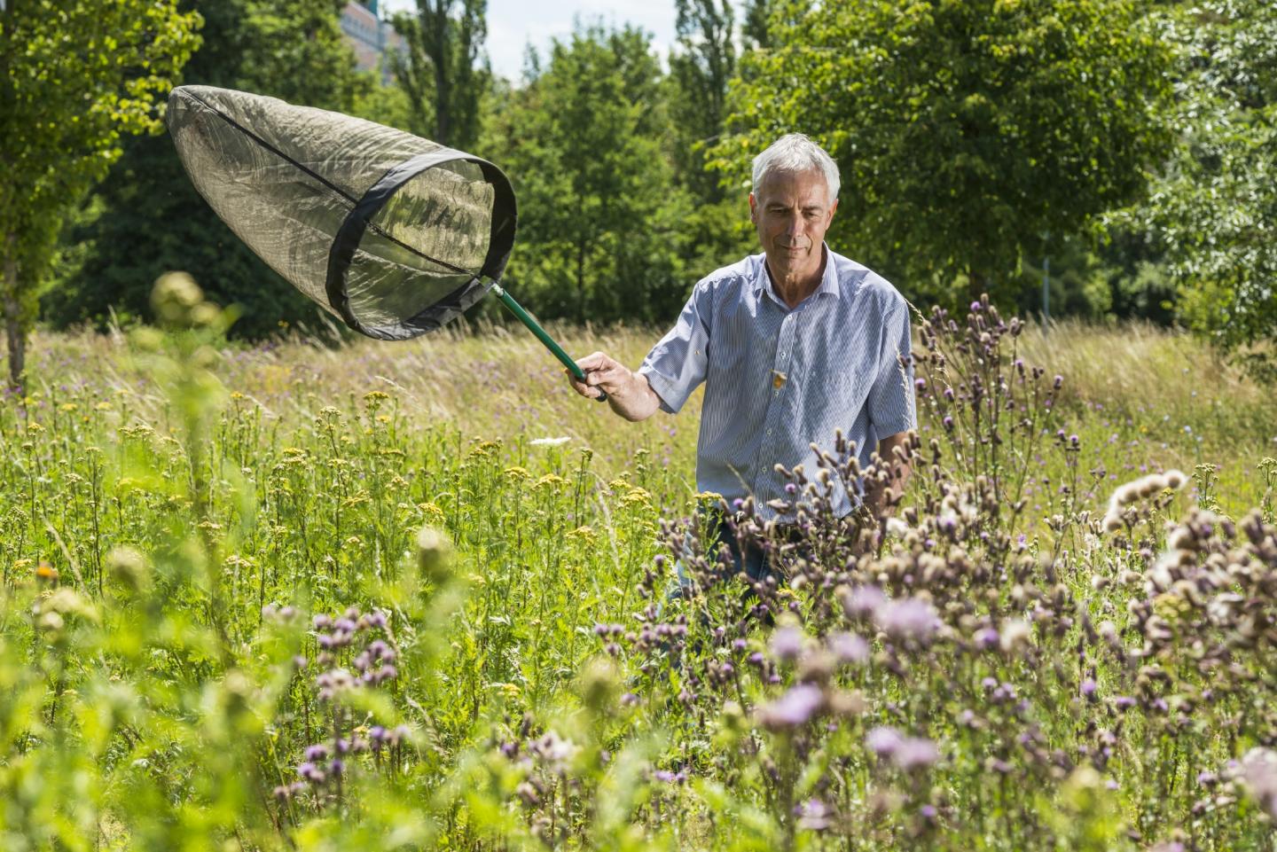 Citizen science