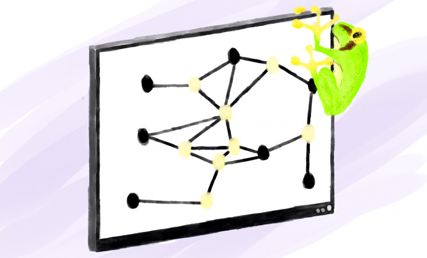 Frogs Resolve Computing Issues