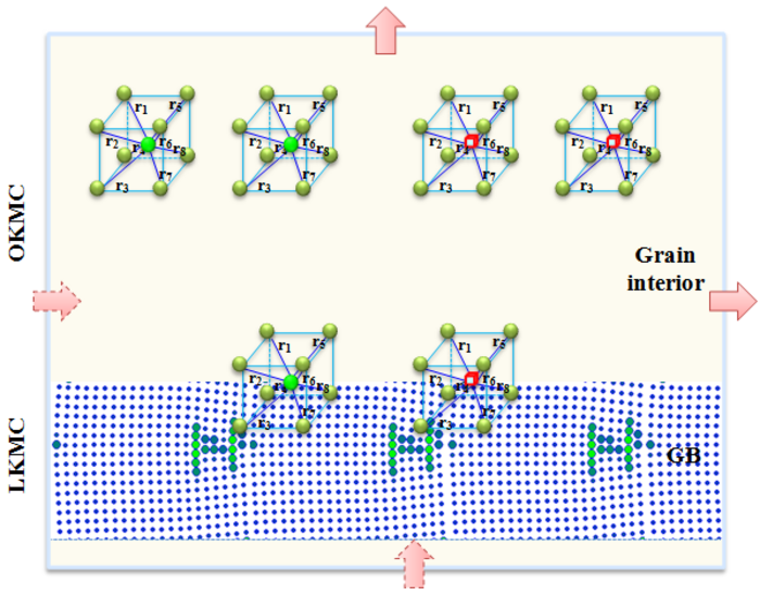 Radiation Damage Simulation Software Developed for Defect Accumulation Mechanisms Study in Polycrystalline Materials