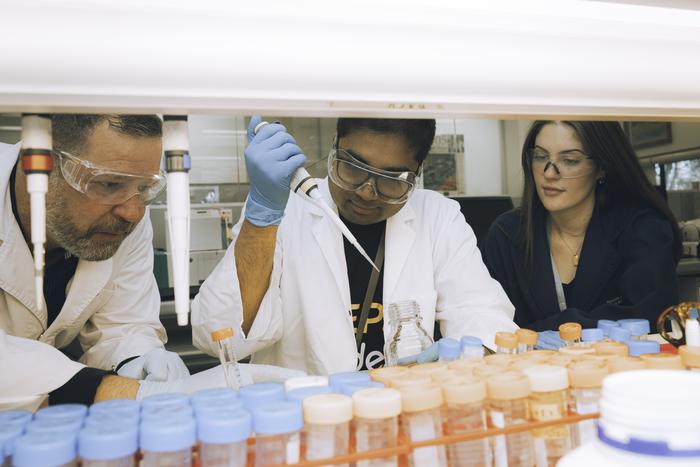 Dr Sandro Ataide and team in the laboratory