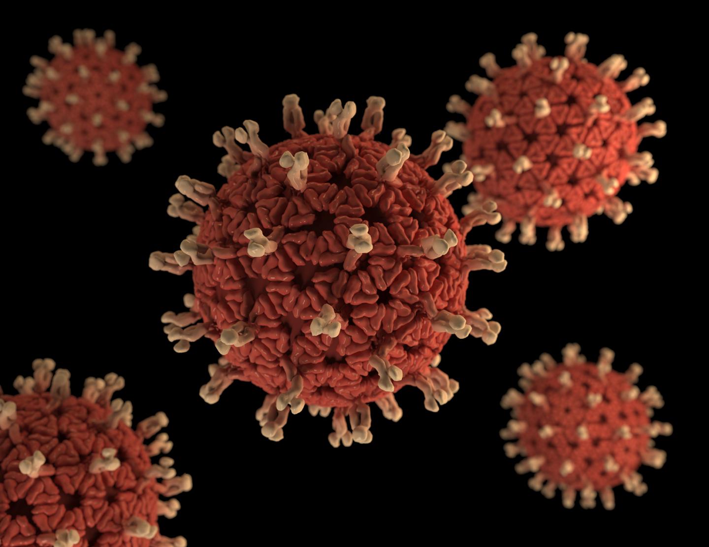 3-D Graphical Representation of a Number of Rotavirus Virions
