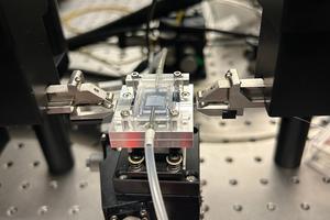 Testing setup of the photonic chip sensor