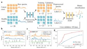 The proposed preprocessing model effectively improved the diagnostic accuracy of serum Raman spectroscopy.