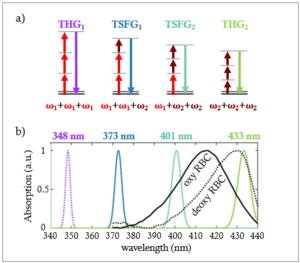 Principles of color TSFG microscopy for blood imaging.