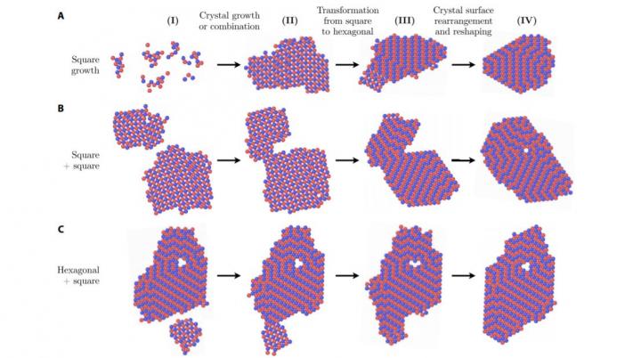 Snapshots from MD Simulations of Self-Assembly