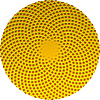 Mathematical Model of Sunflower Head