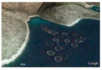 Ocean Fish Farms Identified by Google Earth Images