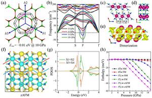 The phonon and magnetic properties.