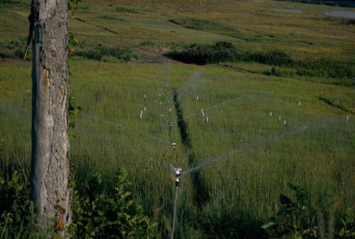 Irrigation Test Area