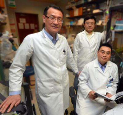 Researchers Eliminate Schizophrenia Symptoms in An Animal Model