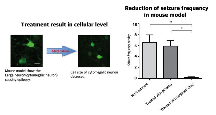 Targeted Medicine for Intractable Epilepsy