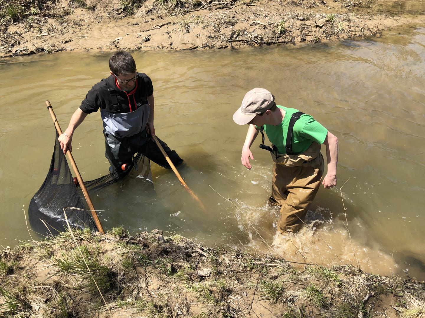 Collecting Darters