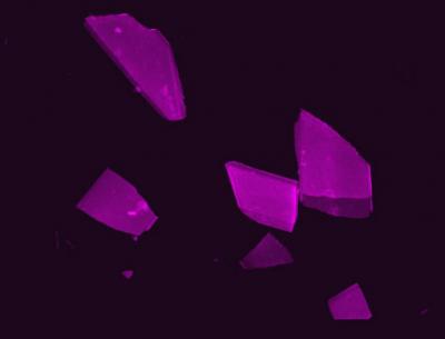 Hydroxyapatite Crystals