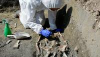 Skeleton in Torcello Excavation 2018