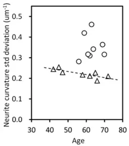 Scatter plot of standard deviation of neurite curvature versus age.