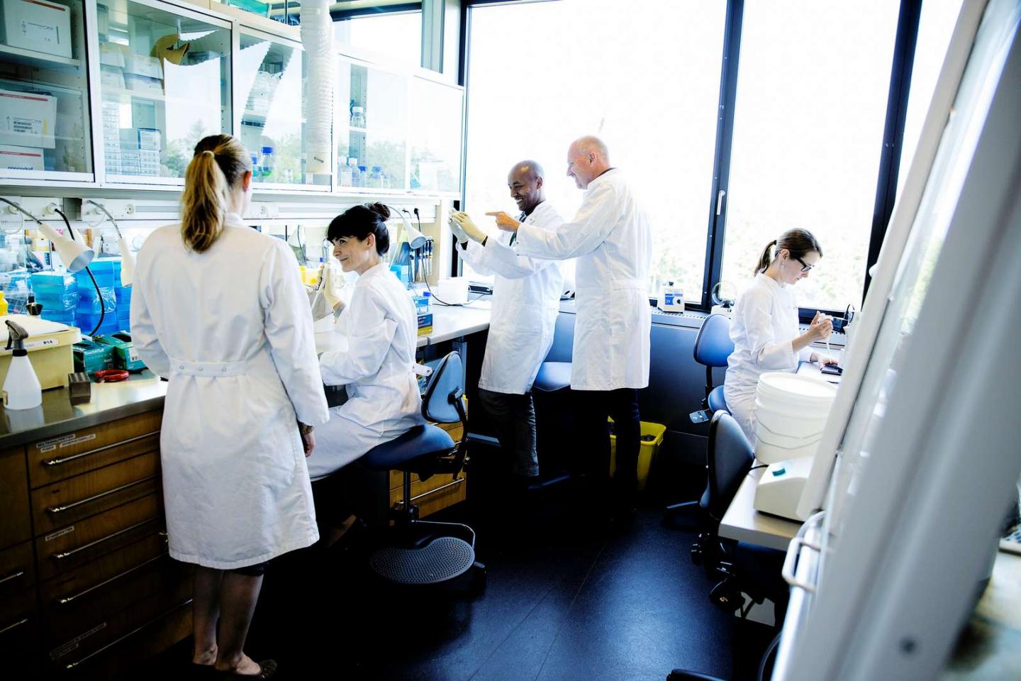Professor Henrik Ditzel and His Research Team in the Laboratory