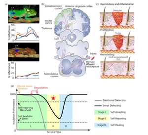 Smart dielectric materials