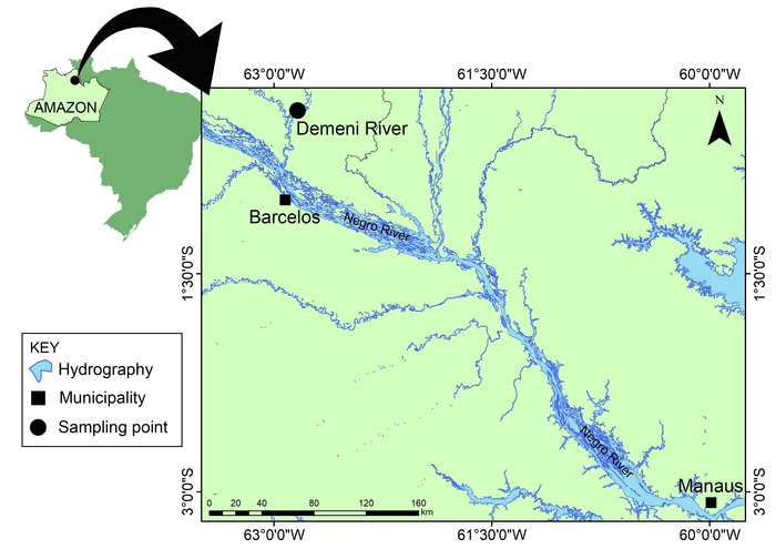 Demeni River, left bank tributary of Negro River, Amazonas State, Brazil