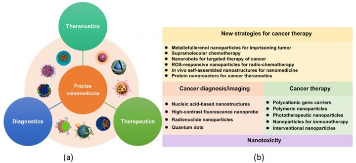 Advances and challenges in precise nanomedici