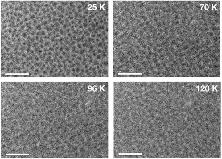 UV-Irradiated Amorphous Water Ice
