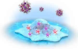 Depiction of europium complexes changing structure upon interacting with a tumor cell